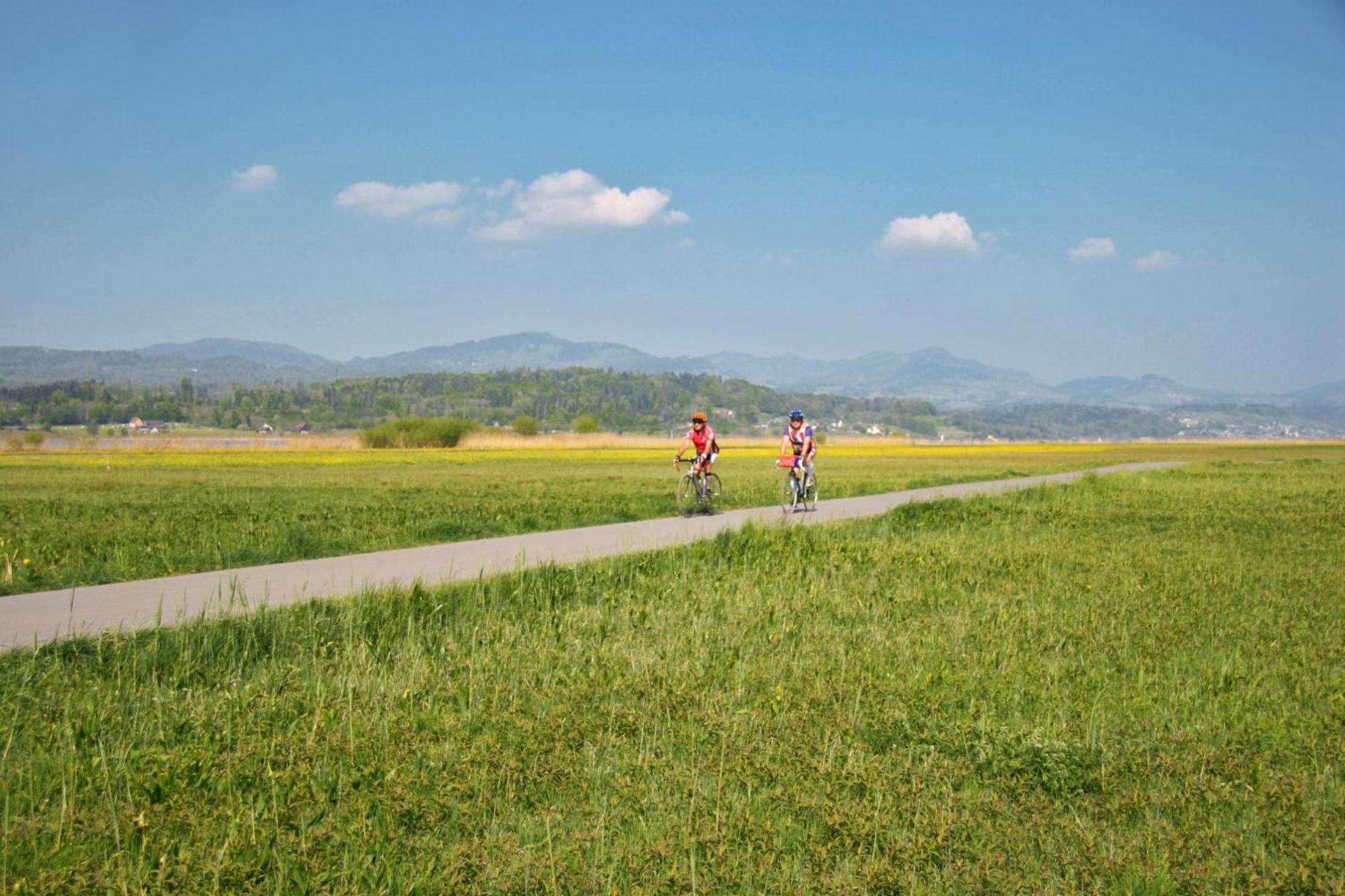 Landgasthof Zum Zimmermann Jona - Rapperswil Bagian luar foto